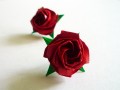 Kawasakiho růže - puzetky