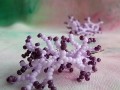 Šité náušnice korály