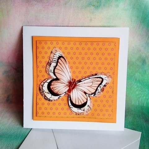 Přání Motýl papír květina oranžová pták fialová růžová motýl vůně letní přání voňavá louka jaro motýlek kytka kytice křídla přáníčko oranž pyl 