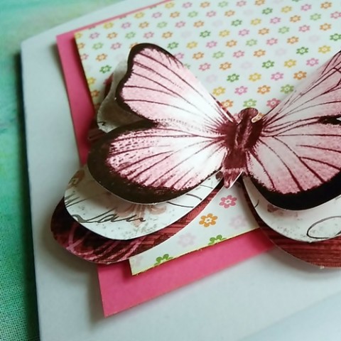 Přání papír květina fialová růžová motýl vůně letní přání voňavá louka jaro motýlek kytice křídla přáníčko pyl 
