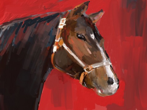 Obraz Horse - technika impasto koně horse 