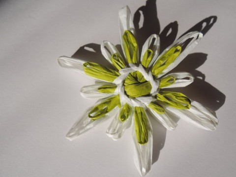 zeleno-bílá květina šperk dekorace radost květina jaro květ velikonoce léto slunce sluníčko ples karneval 