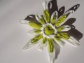 zeleno-bílá květina