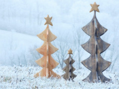 Skořicovník svícen na vánoční stůl