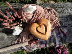 Skořicovník svícen na vánoční stůl