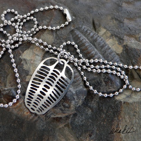Náhrdelník Trilobit z nerezu šperk náhrdelník přívěsek kov řetízek pravěk plech nerez trilobit miniatura laser vyřezávaní 