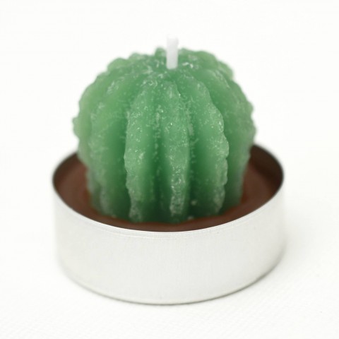 Svíčka kaktus kulatý zelená svíčka vosk hnědá kaktus sukulent 