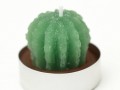 Svíčka kaktus kulatý