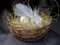 Hnízdečko s vajíčky