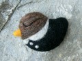 Spící ptáček - v černém saku