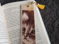 Záložka do knihy - kotě