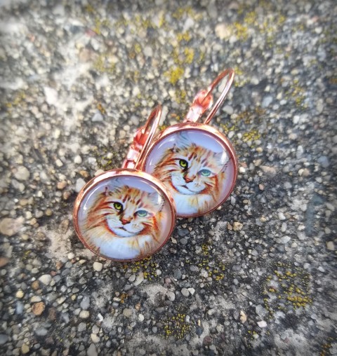 Čiči no.1 - náušničky šperk doplněk náušnice kočka kočička náušničky koťátko mourek micka 