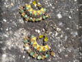 Cinkrlata no.1