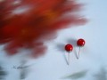 Náušnice barvy červené podzimní