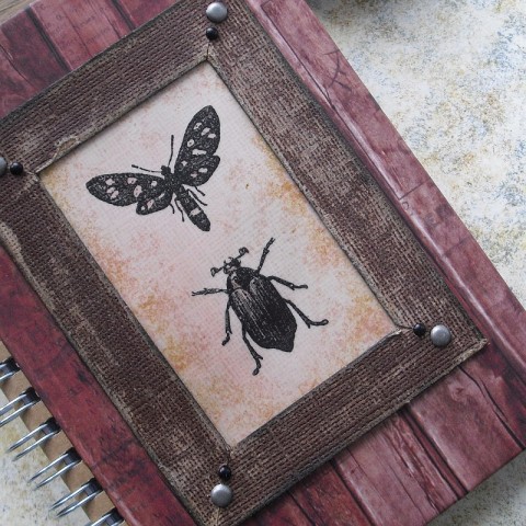 Zápisník se sbírkou hmyz motýl černá hnědá motýlek brouk zápisník blok zapsat pamatovat poznámky můra brouci 
