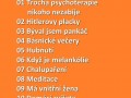 Úspěchy bezdomovce - audiokniha