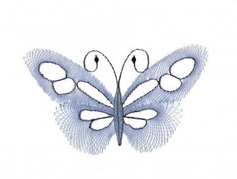 Motýlek - Renata motýl příroda přírodní paličkování motýlek motýlí 