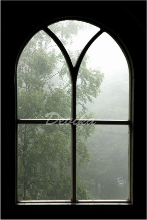 Okno do tajemné zahrady okno krajina pohled 