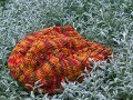 Barevný podzim - čepice