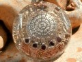 Orgonit- *Ochranný Amulet*