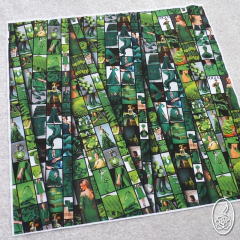 Látkový panel Módní svět módní móda zelená látka látka s obrázky 
