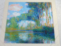 Šátek - Claude Monet